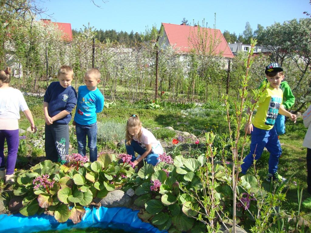 WIOSNA W OGRODZIE I SADZIE 021 1024x768