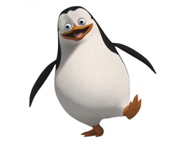 pingwin
